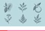 design premium custom icon sets for websites and mobile apps
